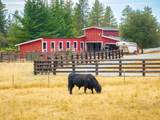 6340 Grizzly Flat Road - Photo 52