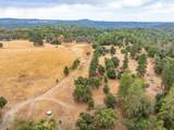 6340 Grizzly Flat Road - Photo 72