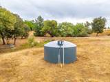 6340 Grizzly Flat Road - Photo 75