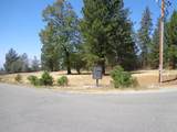 0 Black Butte Rd - Photo 7
