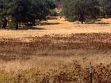5960 Shingle Road - Photo 10