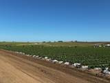 581 San Juan Grade Road - Photo 13
