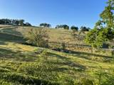 52 David Drive - Photo 1