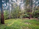 1800 Kit Carson Circle - Photo 3