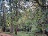 1800 Kit Carson Circle - Photo 4