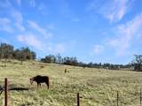 0 071-032-040-000 - Photo 27