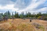 12137 Newtown Road - Photo 2