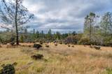 12137 Newtown Road - Photo 7