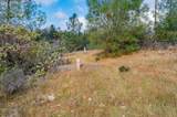 12137 Newtown Road - Photo 9