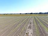 50725 Babel Slough Rd - Photo 5