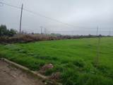 22022 6th Street - Photo 4