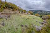 3841 Braden Road - Photo 5