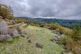 3841 Braden Road - Photo 6