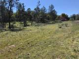 4890 Thompson Hill Road - Photo 13