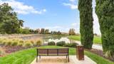 1701 Camino Verdera - Photo 12