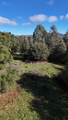 5611 Carleton Road - Photo 11