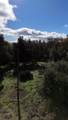 5611 Carleton Road - Photo 12