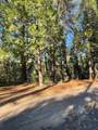 22447 Ponderosa Drive - Photo 3