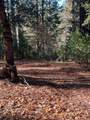 22447 Ponderosa Drive - Photo 4