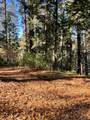 22447 Ponderosa Drive - Photo 5