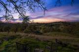 14994 Fremont Mine Road - Photo 1