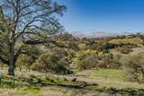 14994 Fremont Mine Road - Photo 13