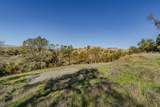 14994 Fremont Mine Road - Photo 15