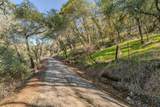 14994 Fremont Mine Road - Photo 38