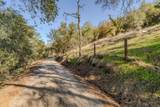 14994 Fremont Mine Road - Photo 39