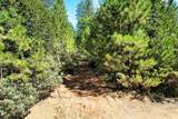 1233 Cedar Hill Road - Photo 31