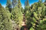 1233 Cedar Hill Road - Photo 33