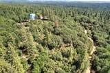 1233 Cedar Hill Road - Photo 9