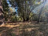 17686 Mace Drive - Photo 1