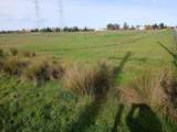 12291 Hobday Road - Photo 13
