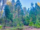 1557 Lily Valley Cir. - Photo 4
