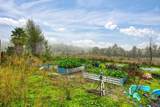 12156 Scott Grant Road - Photo 57