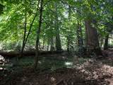 0 Spring Court - Photo 11