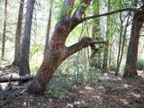 0 Spring Court - Photo 8