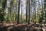43 Foresthill Road - Photo 1