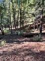 17630 Antelope Drive E Drive - Photo 11