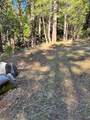17630 Antelope Drive E Drive - Photo 15