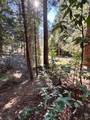 17630 Antelope Drive E Drive - Photo 2