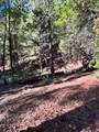 17630 Antelope Drive E Drive - Photo 6