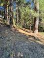 17630 Antelope Drive E Drive - Photo 8