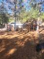 19855 Incense Cedar Trail - Photo 11