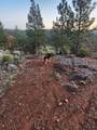 19855 Incense Cedar Trail - Photo 12