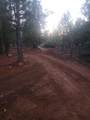 19855 Incense Cedar Trail - Photo 13