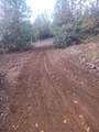 19855 Incense Cedar Trail - Photo 16