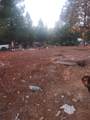 19855 Incense Cedar Trail - Photo 17