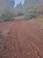 19855 Incense Cedar Trail - Photo 18